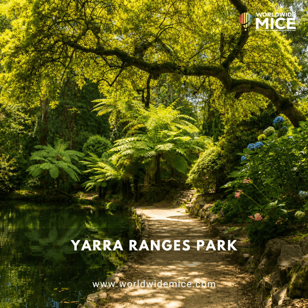 Yarra Ranges National Park